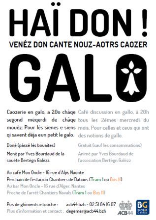 cafe-gallo