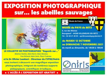 exposition-abeilles-sauvages-10-2021