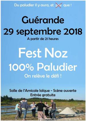 fest noz 100 paludier