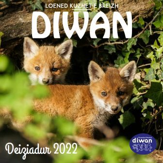 deiziadur diwan 2022